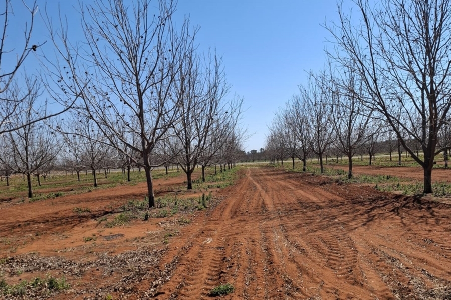 0 Bedroom Property for Sale in Hartswater Northern Cape